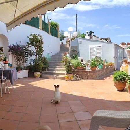 B&B Villa Cristina Анакапрі Екстер'єр фото