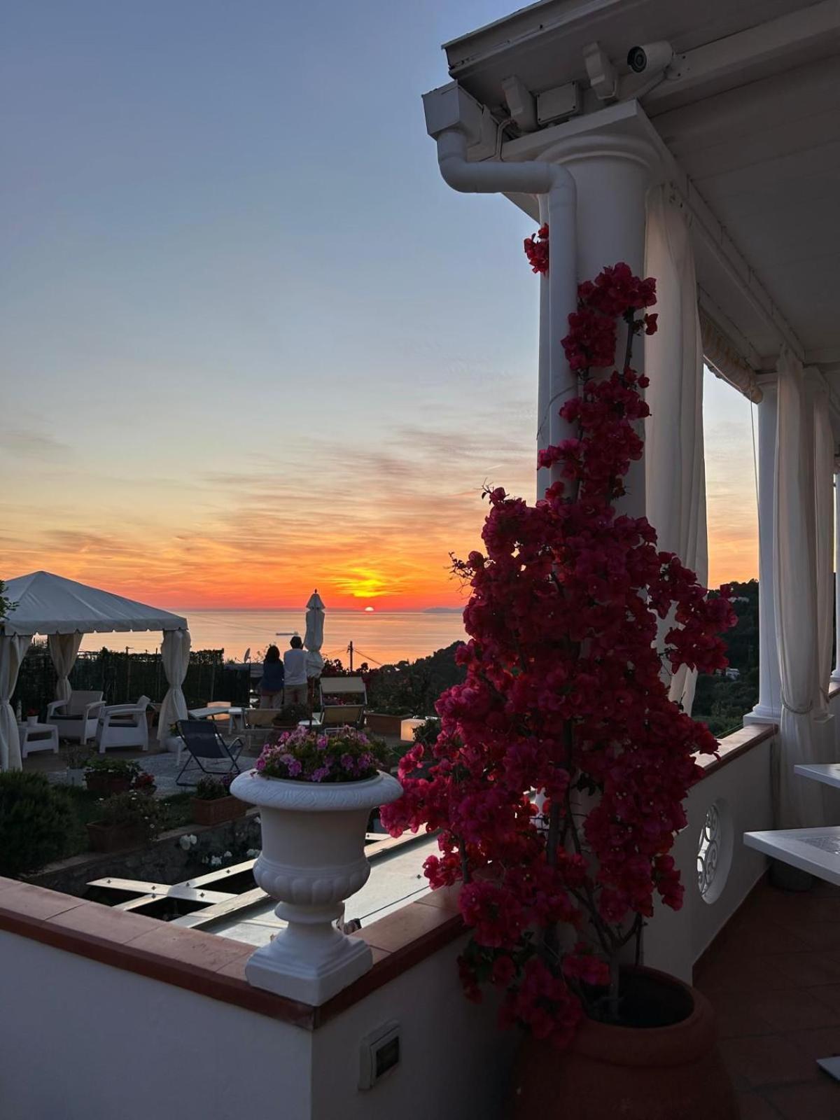 B&B Villa Cristina Анакапрі Екстер'єр фото